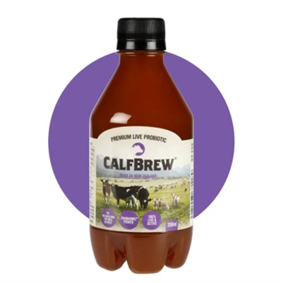카프브류(CalfBrew)